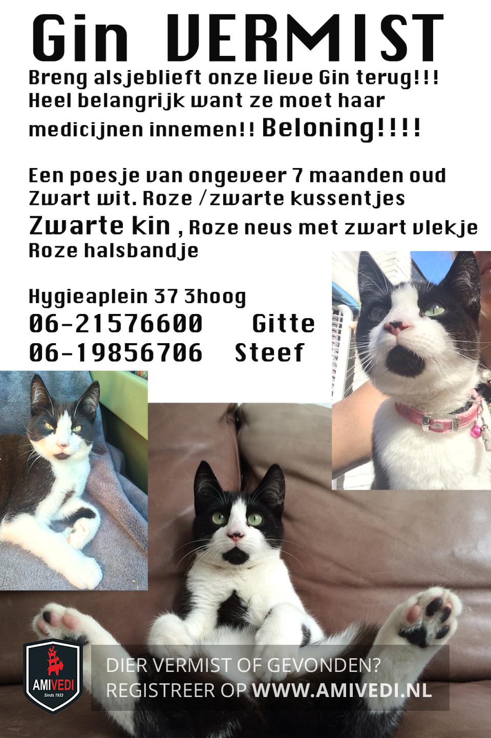 XL zwart poesje